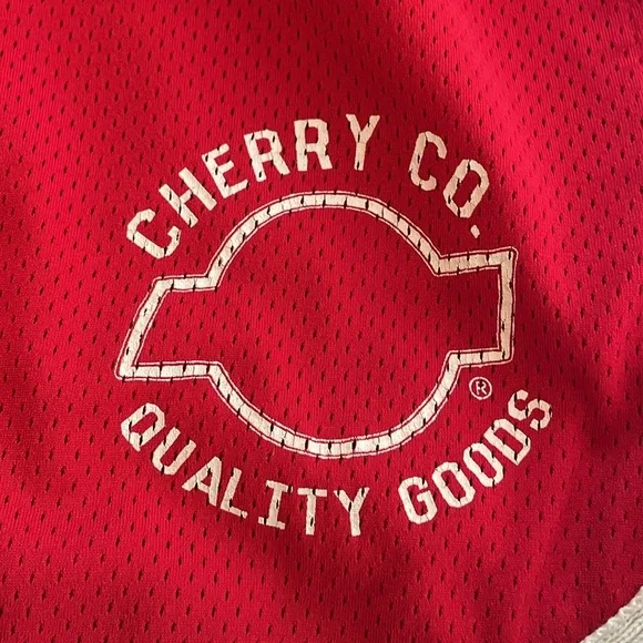 Cherry LA Red mesh basketball shorts. Gently used.